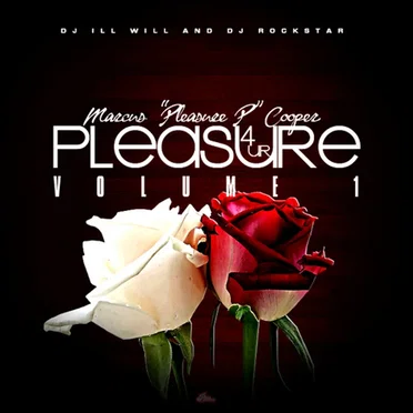 4 Ur Pleasure Volume 1 by Pleasure P - album cover