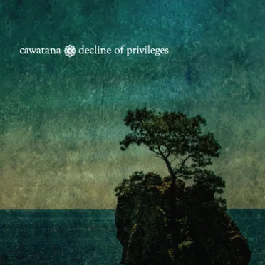 Decline Of Privileges