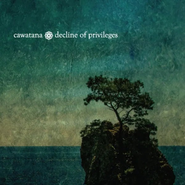 Decline Of Privileges