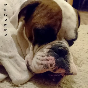 A B R A Z E N by Makroplastik - album cover