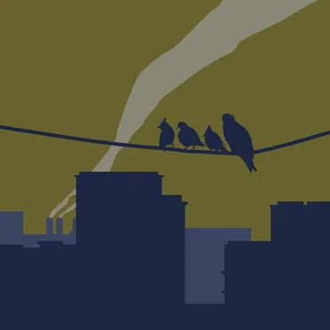 Quartet of Birds