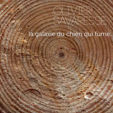 La Galaxie Du Chien Qui Fume