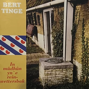 In mûdhûn yn 'e reinwettersbak