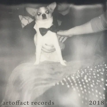 Artoffact Records 2018 by Artoffact Records - album cover