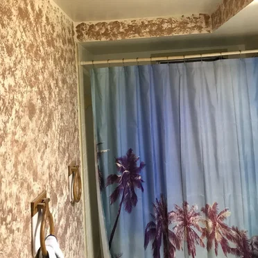 The Paradise Curtain