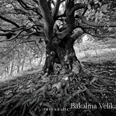 Prvi krajec by Bakalina Velika - album cover