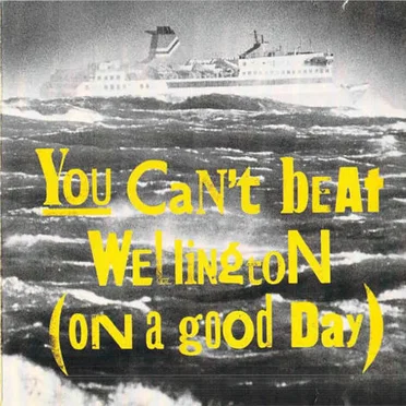 You Can’t Beat Wellington (On a Good Day) by Various Artists - album cover