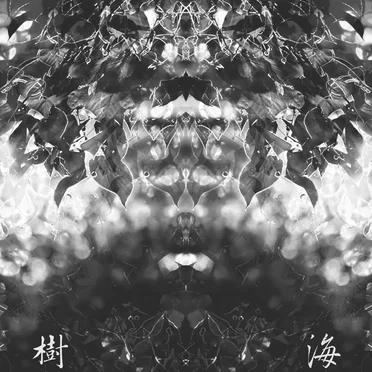 樹海