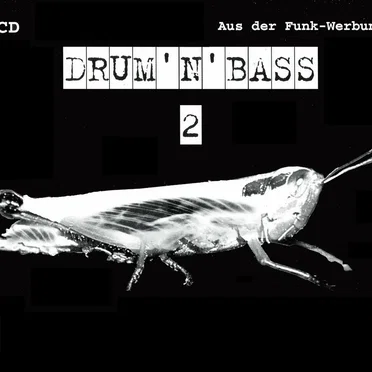 Drum 'n' Bass 2 by Various Artists - album cover