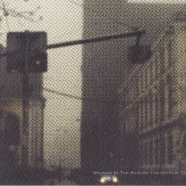 Walking in the Rain on the Ostrow Tumski by Various Artists - album cover