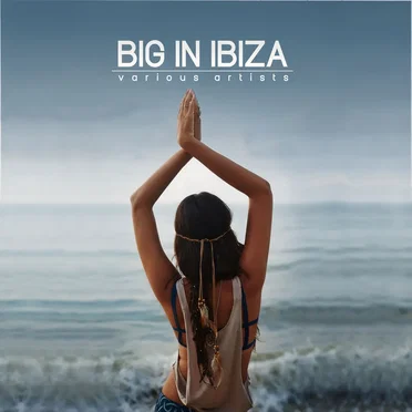 Big in Ibiza by Various Artists - album cover