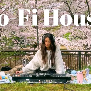 Relaxing Lo-Fi House Music Mix