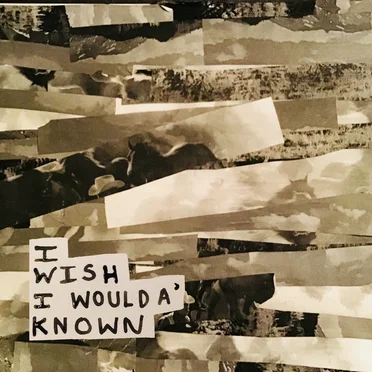 I WISH I WOULDA’ KNOWN by Flesh Panthers - album cover