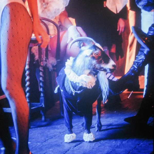 Fashion Over Function