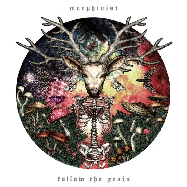 Follow the Grain