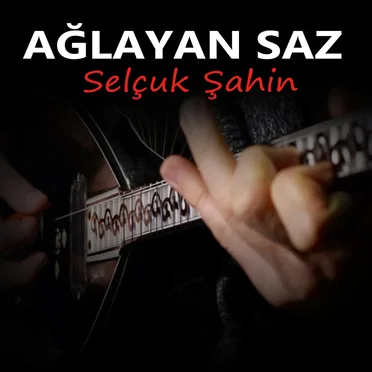 Ağlayan Saz by Selçuk Şahin - album cover