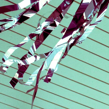 Juvenile - insubstantial, re-present -