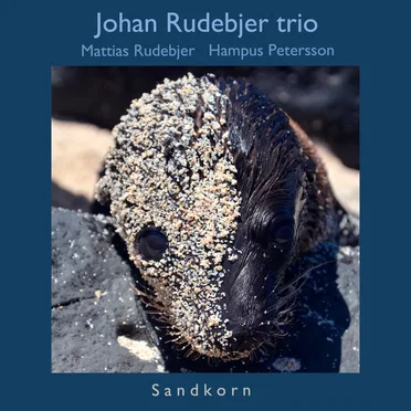 Johan Rudebjer Trio