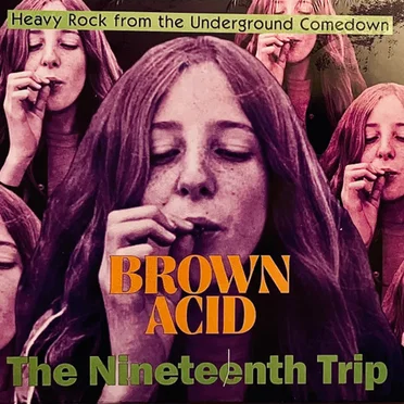 Brown Acid: The Nineteenth Trip by Various Artists - album cover