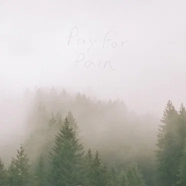 Pain by Pay for Pain - album cover