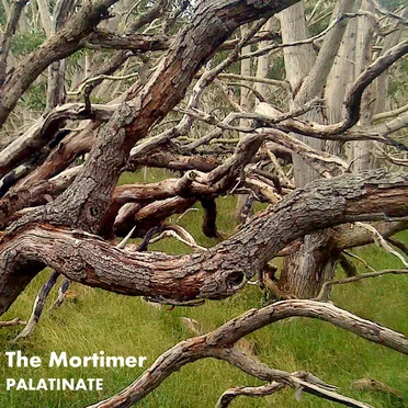 Palatinate by The Mortimer - album cover