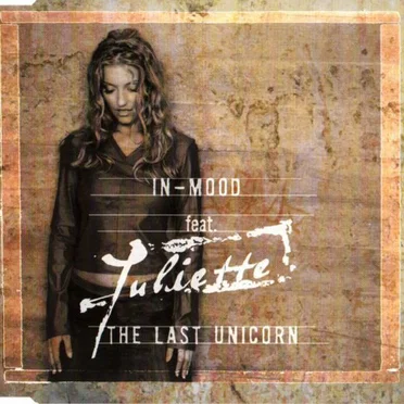 The Last Unicorn