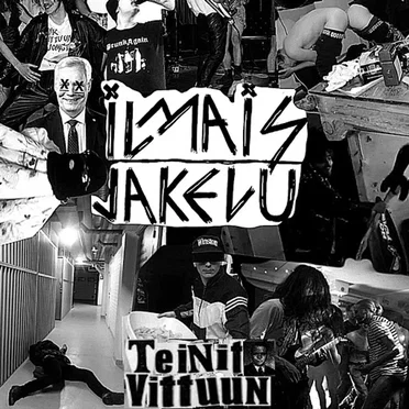 Teinit vittuun
