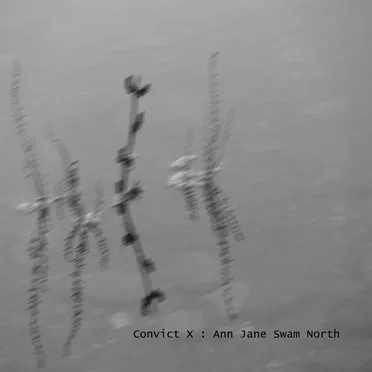 Ann Jane Swam North by Convict X - album cover