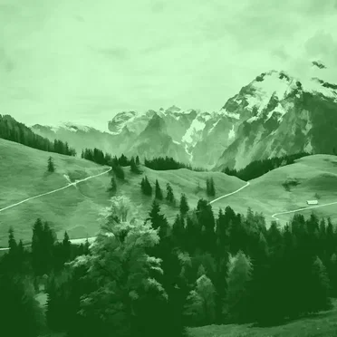 GREEN 15 by Elio Varesse - album cover