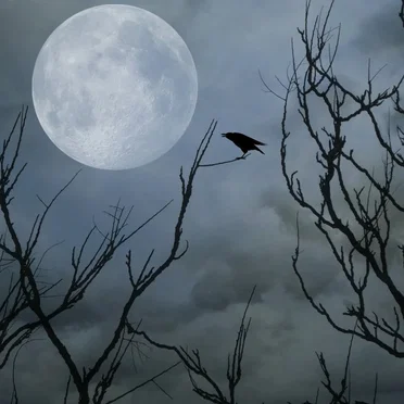 Ravens Return
