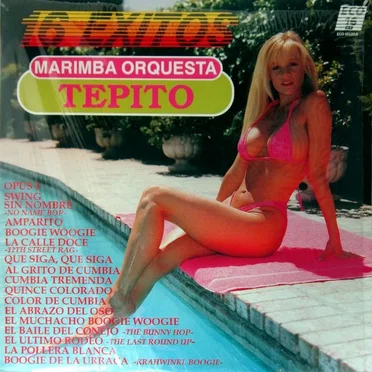 Marimba Orquesta Tepito