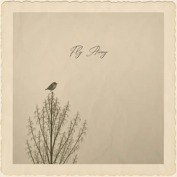 Fly Away