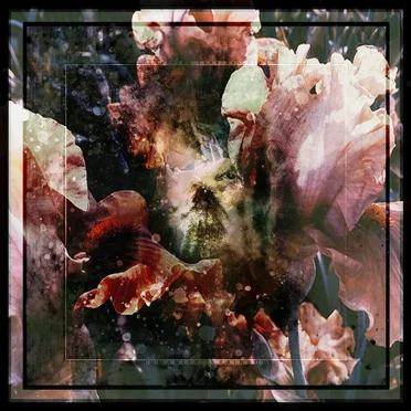 Humanity's Rainbow by Convivial Cannibal Clan - album cover