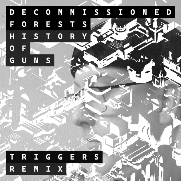 Triggers (History of Guns remix)
