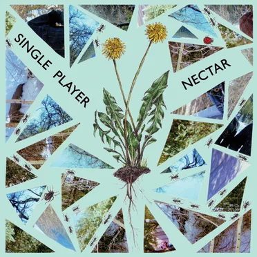 Single Player / Nectar Split