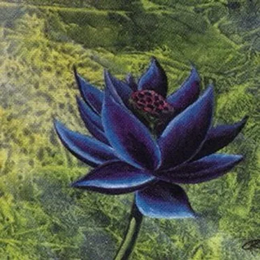 black lotus by torture - album cover