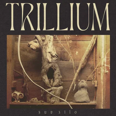Trillium by Sun Silo - album cover