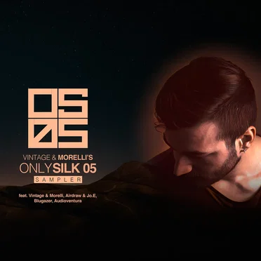 Vintage & Morelli's Only Silk 05 Sampler by Various Artists - album cover