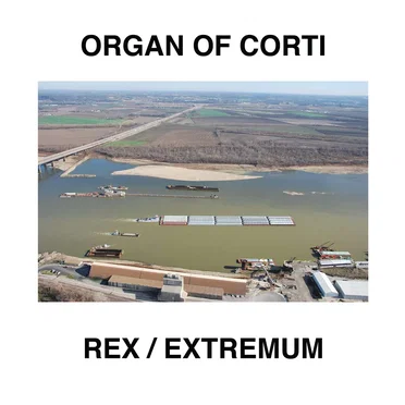 Rex / Extremum by Organ of Corti - album cover
