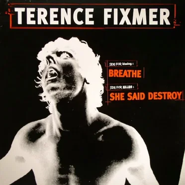 She Said Destroy