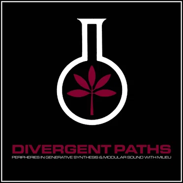 Divergent Paths (Volume Seven)