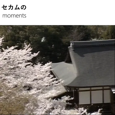 moments by セカムの - album cover