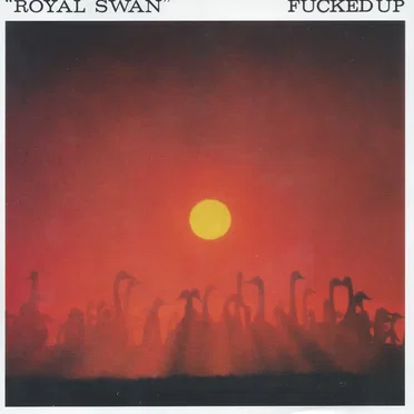 Royal Swan / I'm Sick