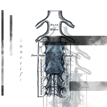 EICV7" No. 68 by ḅoƞeṣiƒt - album cover