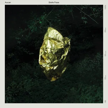 Stelle fisse by Aucan - album cover