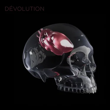 Dévolution (Le n'album)