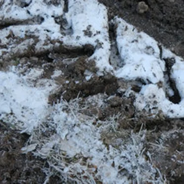 mud tracks