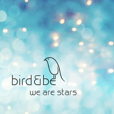 We Are Stars by bird&be - album cover