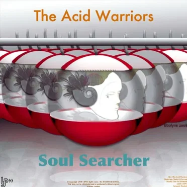 Soul Searcher by The Acid Warriors - album cover