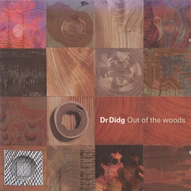 Out of the Woods by Dr. Didg - album cover
